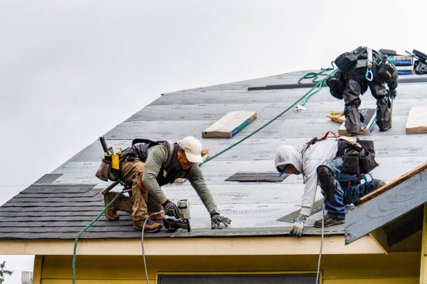 Professional Roofing technician working in Kalispell, MT
